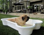 bonepool 2