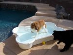 bonepool 4