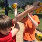 clear playground climb walls