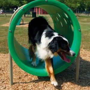 Recycled Small Dog Agility Course - Adventure Playground