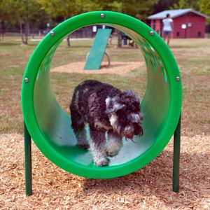 doggie crawl kit