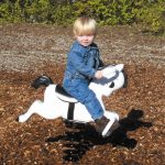 mustang spring rider