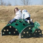 turtle climber climbing structure