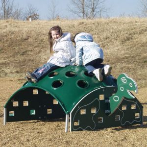 turtle climber climbing structure