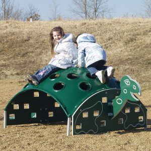 Turtle Climber Climbing Structure