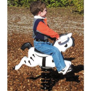 zebra spring rider