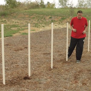 agility poles playground system