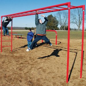 horizontal ladder playground system