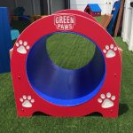 dog crawl