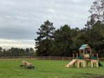 kennel club dog totter