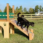 kennel club ramp detail