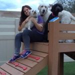 ramp n climb fun