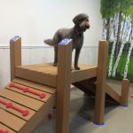 ramp n climb indoor
