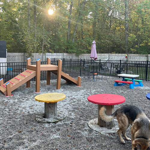 Dog Park Equipment, Dog Park Design