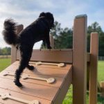 ramp n climb playground