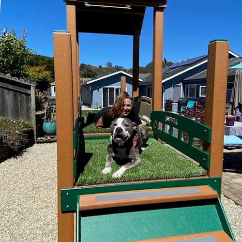 Deluxe K9 Kennel Club Playground with Rattle Bridge - TerraBound Solutions  Inc.