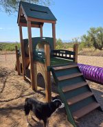 Kennel Club Playground
