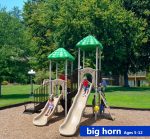 Big horn graphic1