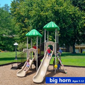 Big Horn Play System