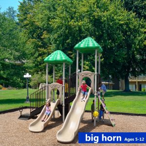 Big Horn Play System