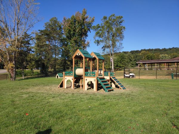 Deluxe Kennel Club Field scaled