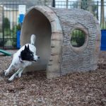 rustic dog log tunnel kit