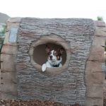 rustic dog log tunnels set
