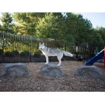 rustic dog stepping stones set