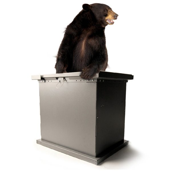 bruin storage container