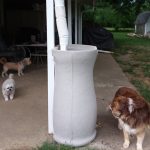 50 gallon impressions corsican rain barrels