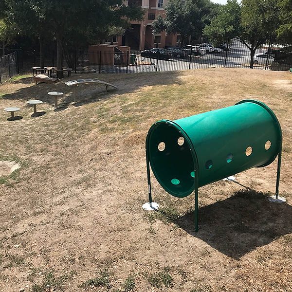 Dog Park Agility Equipment - Ramp With Steps And Doggie Crawl