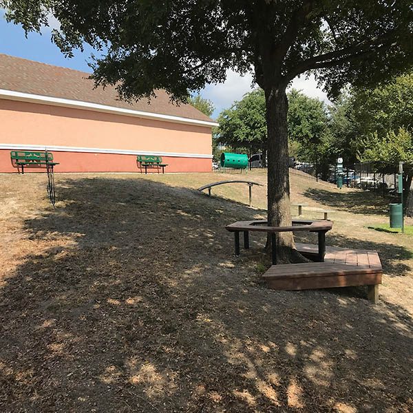 dog park equipment ramp with steps and doggie crawl