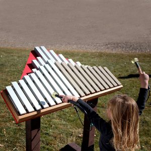 Duet Musical Play Equipment