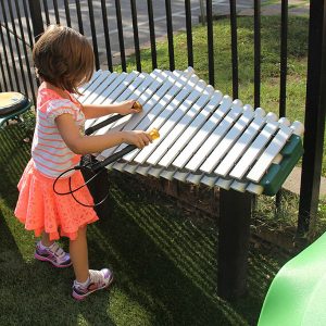 Pegasus Musical Play Equipment