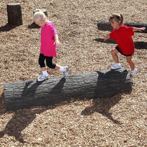 Half Log Balance Beam