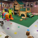 deluxe k9 kennel club playground 2