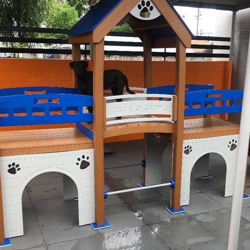 Deluxe K9 Kennel Club Playground with Rattle Bridge - TerraBound Solutions  Inc.