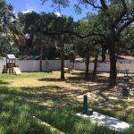 kennel club playground