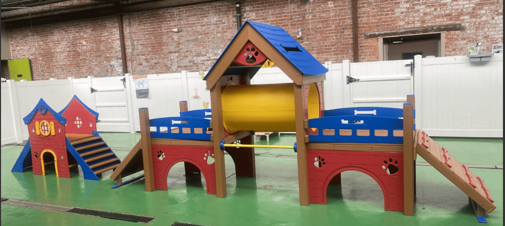 Low Profile Kennel Club Playground