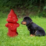 replica dog park hydrant in action