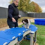 Bark Bloxx 4