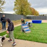 Bark Bloxx 4