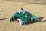 p 128174 turtleclimber 3