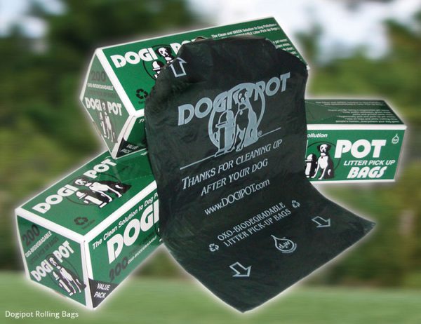 p 39440 dogilitter 2