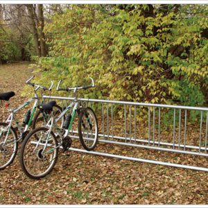 Double Entry Bike Rack