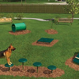 Intermediate Dog Obstacle Course