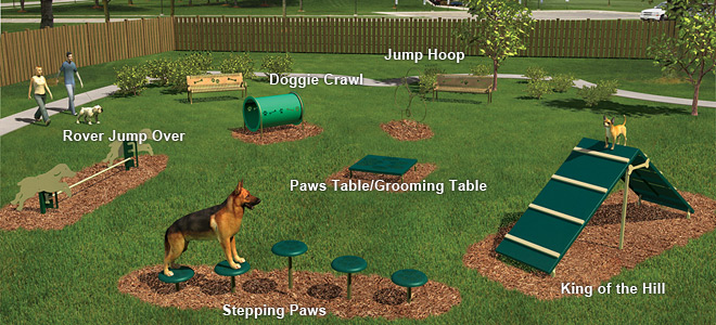 dog home agility course