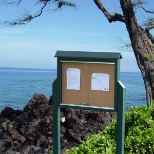 p 56048 medmessage 2