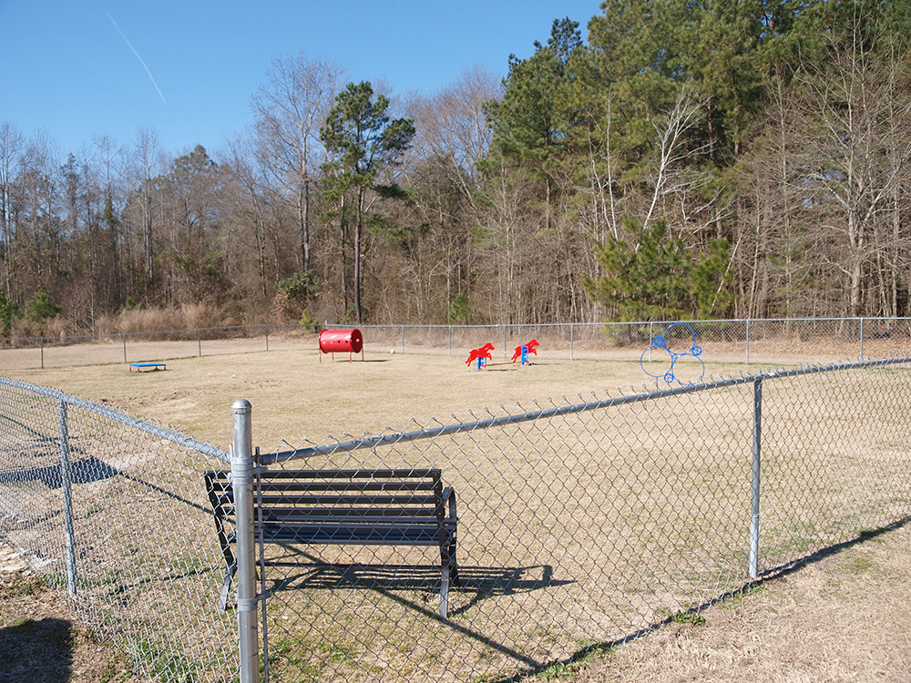 Chew King Novice Dog Park Agility Course Kit