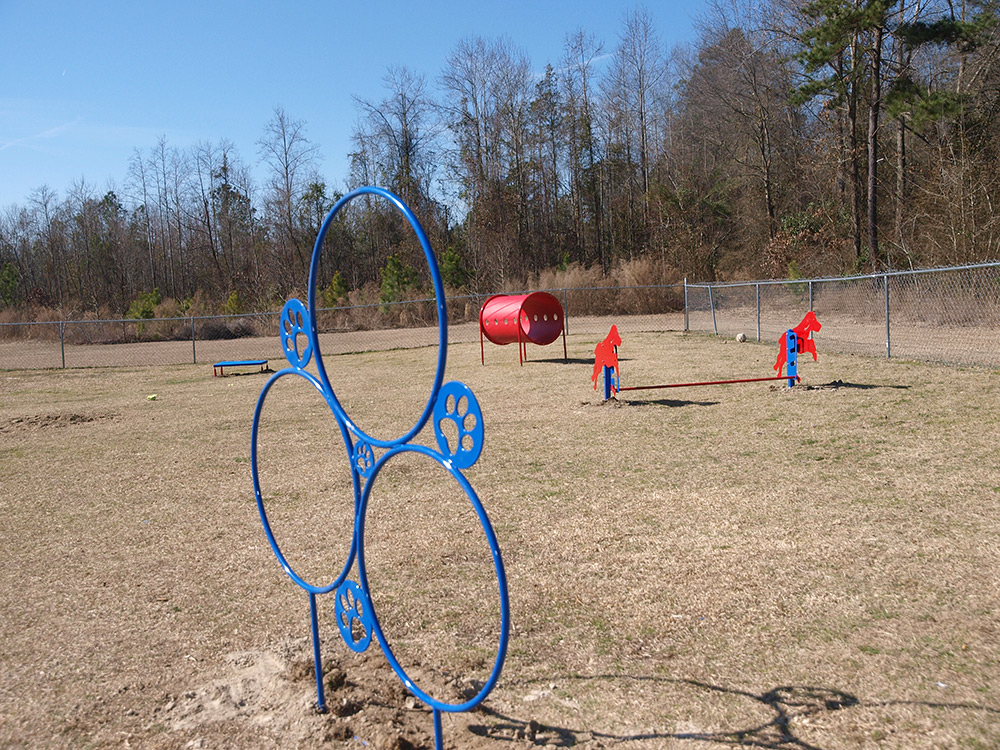 Intermediate Bark Park Obstacle Course